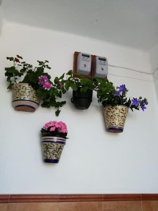 Villa La Casita Cortes de la Frontera Esterno foto